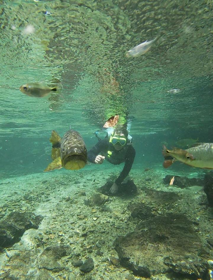 Imagem da galeria 12